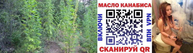 Дистиллят ТГК концентрат  дарнет шоп  Каменка 
